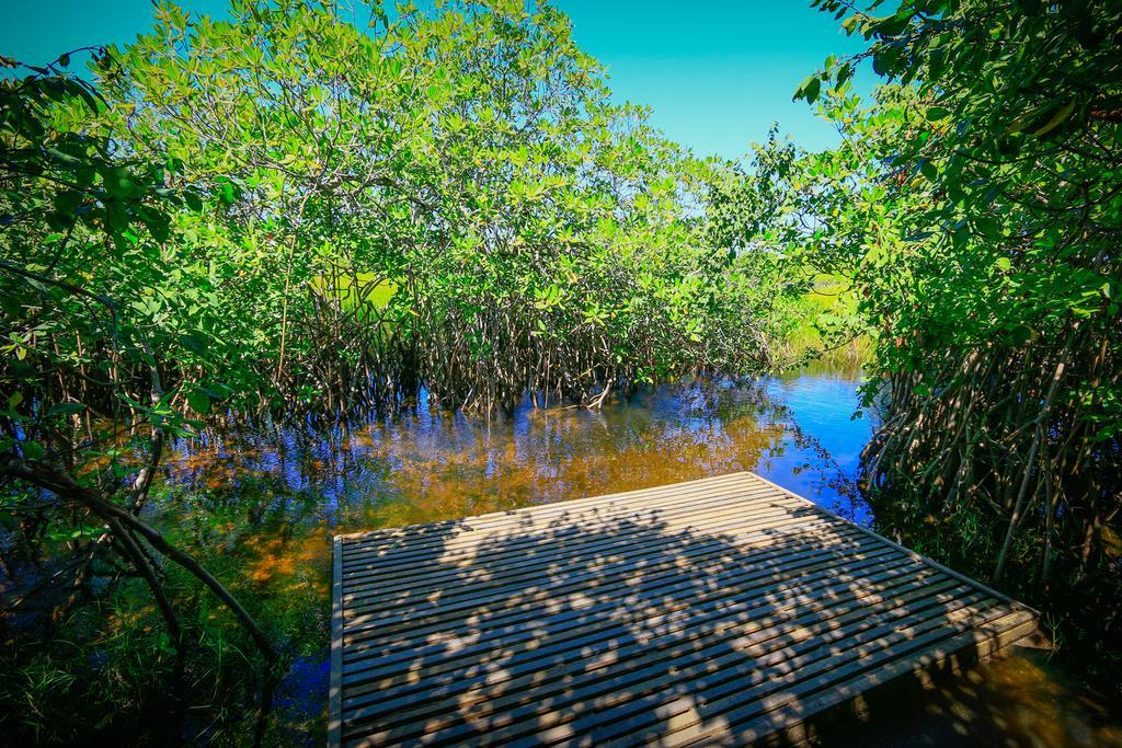 Pousada Ecologica Bangalo De Praia Itacimirim Bilik gambar