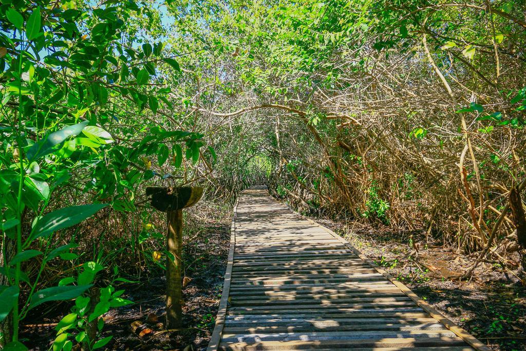 Pousada Ecologica Bangalo De Praia Itacimirim Bilik gambar